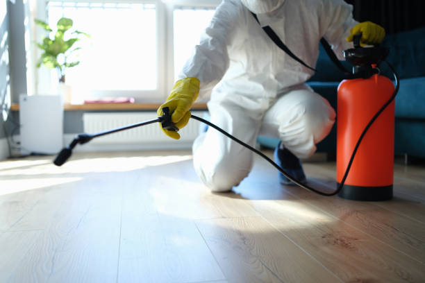 Insect Control in Broomfield, CO