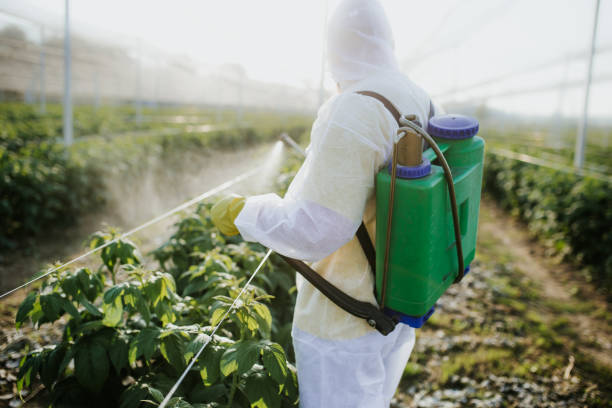 Best Residential Pest Control  in Broomfield, CO